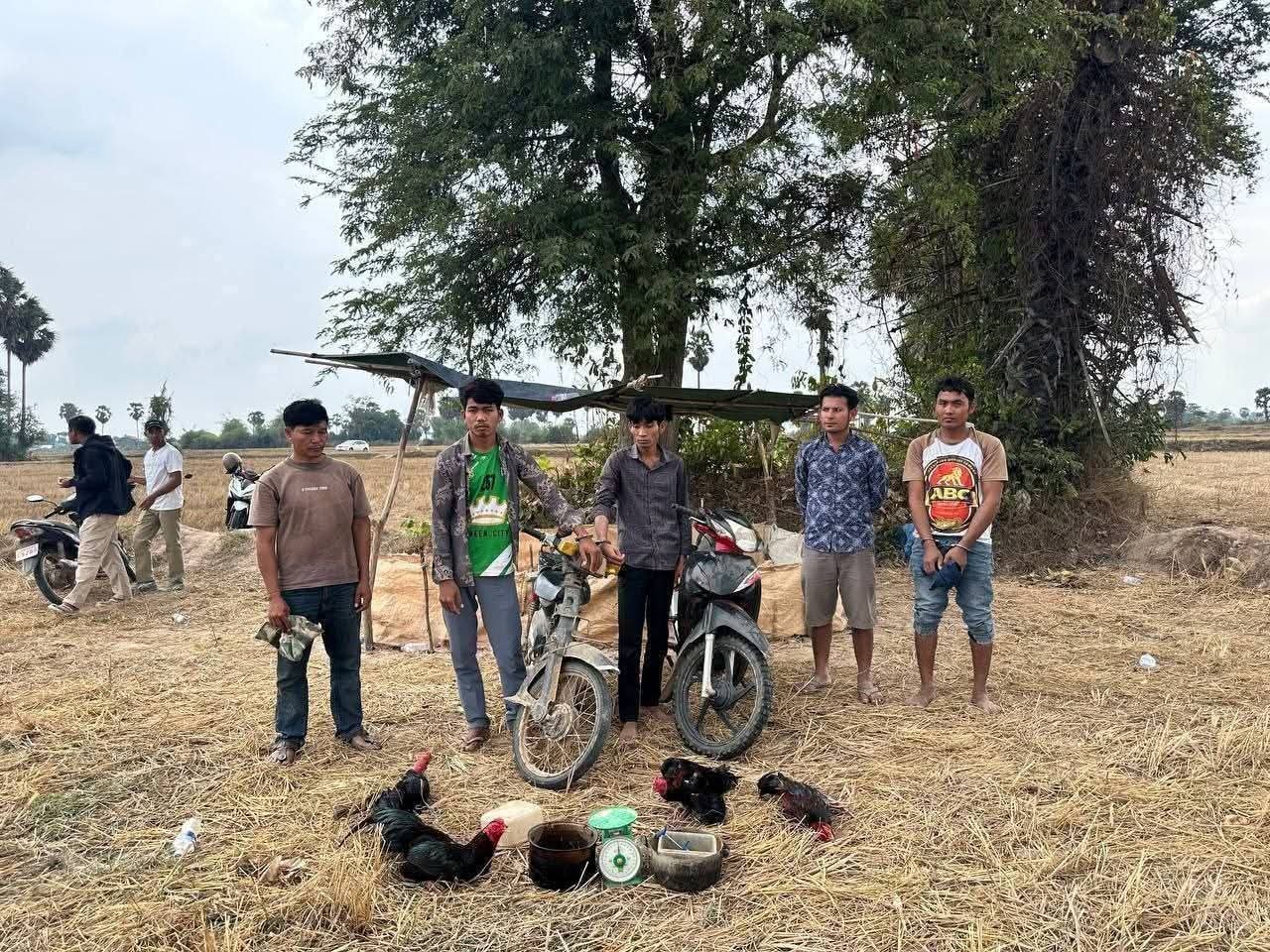 សមត្ថកិច្ចឡោមព័ទ្ធ បង្រ្កាបល្បែងសុីសងខុសច្បាប់ (ជល់មាន់)នៅស្រុកបសេដ្ឋ!